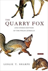 Cover of The Quarry Fox and other Critters of the Wild Catskills by Leslie T. Sharpe