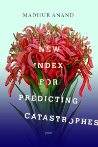 Cover of A New Index For Predicting Catastrophes by Madhur Anand