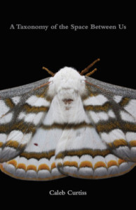 Cover of A Taxonomy of the Space Between Us by Caleb Curtiss