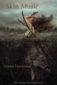 Cover of Skin Music by Dennis Hinrichsen