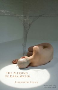 Cover of The Blessing of Dark Water by Elizabeth Lyons