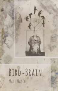 Cover of Bird~Brain by Matt Mauch
