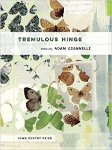 Cover of Tremulous Hinge by Adam Giannelli