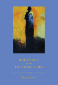 Cover of Rise and Fall of the Lesser Sun Gods by Bruce Bond