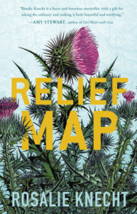 Cover of Relief Map by Rosalie Knecht