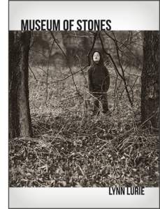 Cover of Museum of Stones by Lynn Lurie