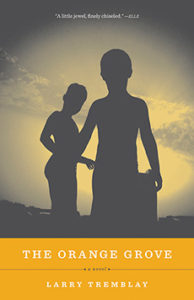 Cover of The Orange Grove by Larry Tremblay