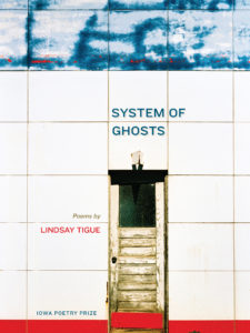 Cover of System of Ghosts by Lindsay Tigue